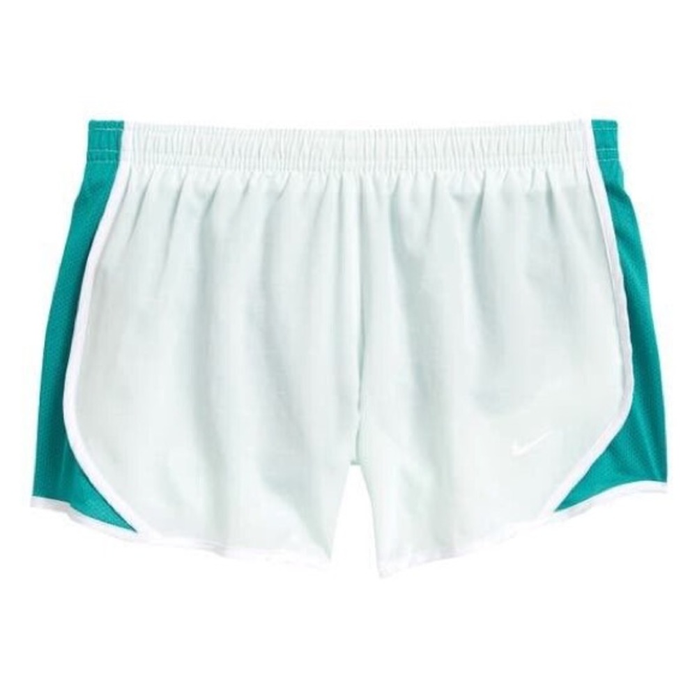 Nike Dri-Fit (Standard Fit) Large Shorts